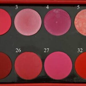 Paleta 12 ruževa - Pink, ciklama i crveni tonovi